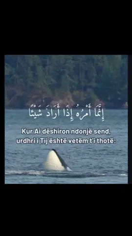 #quran 