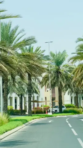 Almouj #creatorsearchinsights #foryoupage❤️❤️ #muscat_oman🇴🇲 #tiktok #unfreezemyaccount #view #tendingsong💯🔥viraltiktok💯🔥 @muscat_oman49 