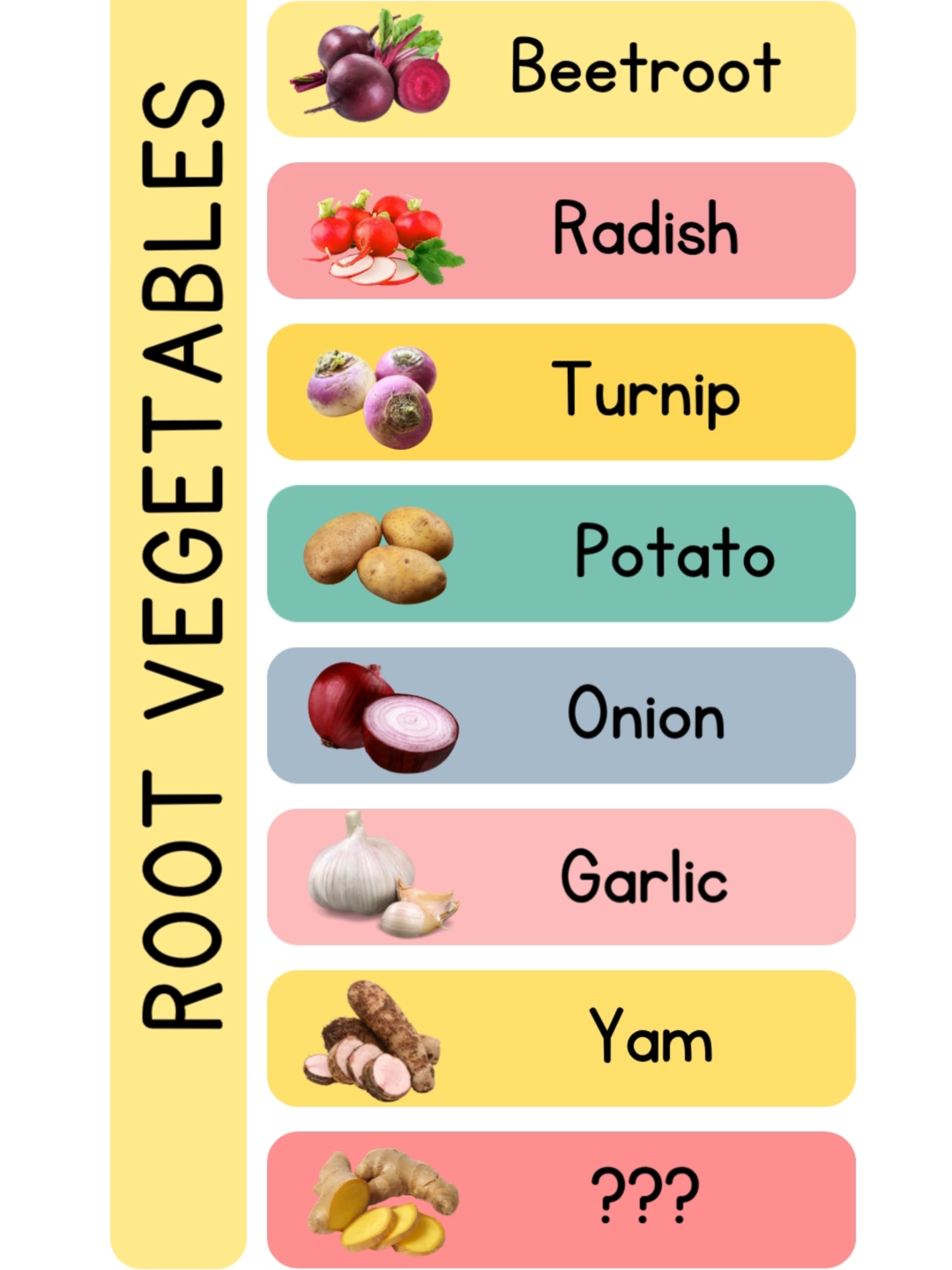 Root Vegetables Names #learnenglish #englishvocabulary #dailyuseenglish #vegetables #veggies  #foryoupage❤️❤️
