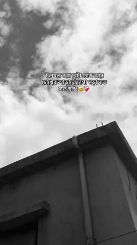 টলমল করা দুটো চোখ আর চোখের আড়ালে চাপা পড়া কত সত স্বপ্ন।😅❤️‍🩹                         #foryoypageofficial #foryoupageofficialforyoupageofficiall #vairal_video_tiktok_trending #foryoupageofficialforyo #fyppppppppppppppppppppppp #unfrezzmyaccount #fypシ゚viral #biditiktokofical #unfreeze #vairalvideo #foryoupage #fyp #foryou #foryoupageofficialforyoupageofficial 