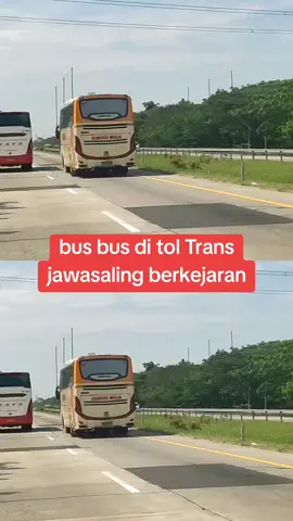 bus berkejaran di tol Trans jawa #viralvideo #trukmaniaindonesia #bus #truck #busmania #trukoleng #viral #fyp #busmaniacommunity 