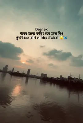 Dear ex পরের জম্মে ফড়িং হয়ে জম্ম নিও পু'ট'কিতে রশি লাগিয়ে উড়াবো!🙂🦋#shorts #viral #tiktok #trend #trending 