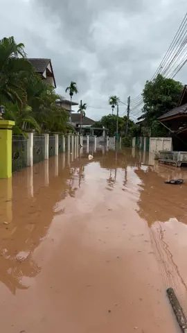 Flooded houses in Nan City following the flood on July 24, 2025. #Flood #Nan #Thailand #River #Emergency #น้ำท่วม #แนนโน๊ะ 