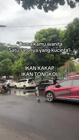 Engkollllllll 