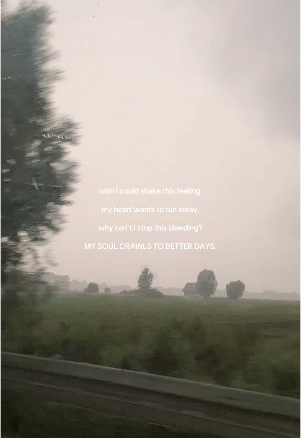 less than a week until ‘heavens sirens’ is ours! (and exactly a week until we celebrate while streaming it on stationhead)  #davidkushner #davidkhq #trend #davidkushnerconcert #heavenssirens #fyp 