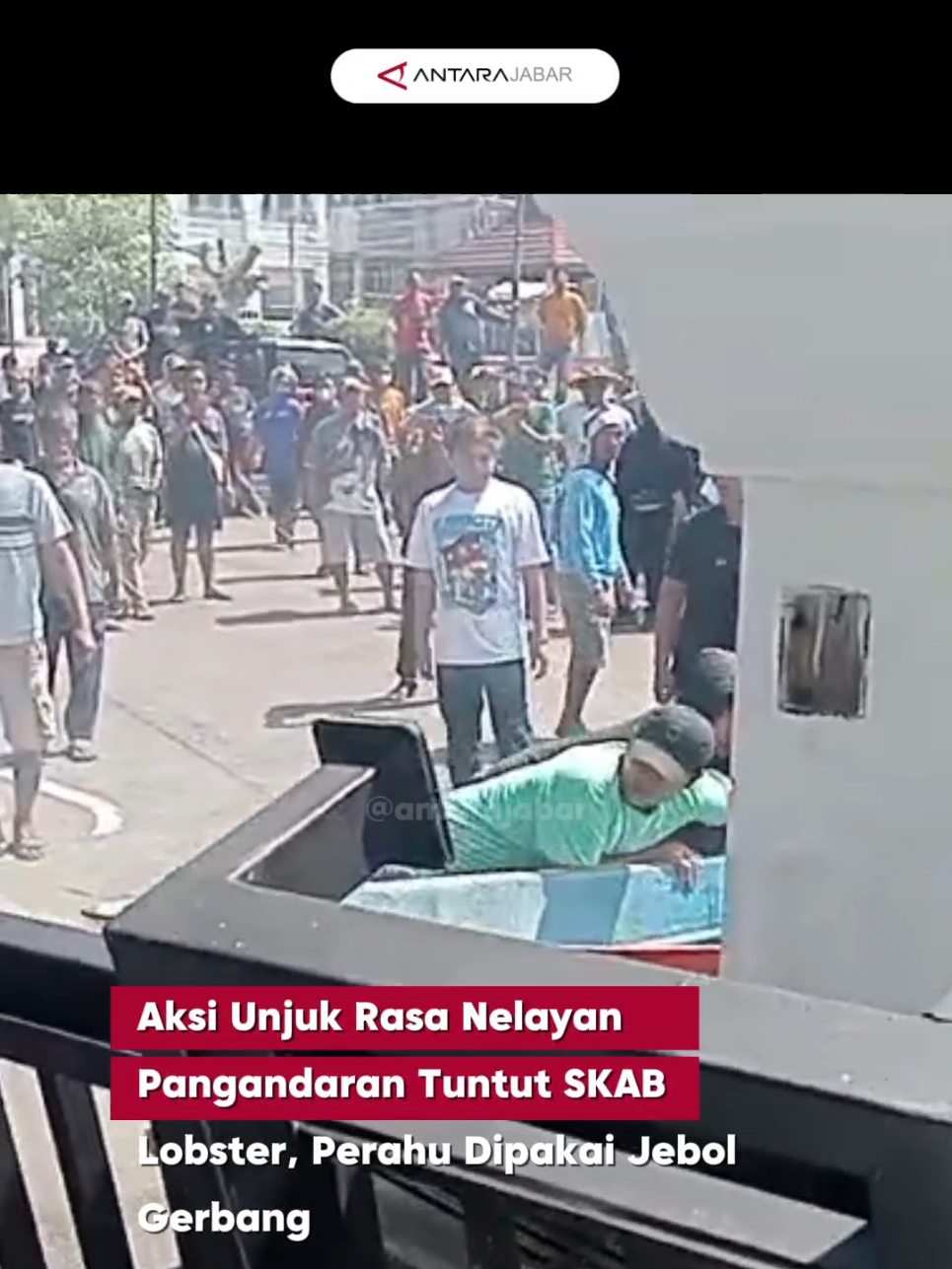Aksi unjuk rasa ratusan nelayan benih bening lobster (BBL) di depan Pendopo Bupati Pangandaran, Jawa Barat, berakhir memanas setelah tuntutan mereka tak kunjung mendapat tanggapan dari pemerintah daerah.  Para nelayan mendesak percepatan penerbitan SKAB (Surat Keterangan Asal Benih) sebagai syarat legalitas budidaya dan ekspor lobster. Kekecewaan massa memuncak hingga menyebabkan kerusakan pada gerbang pendopo dan satu unit mobil pemadam kebakaran. Kapolres Pangandaran kemudian turun langusng menenangkan masa dan berjanji akan mengawal aspirasi para nelayan. Mereka mendesak percepatan penerbitan SKAB (Surat Keterangan Asal Benih) yang selama ini belum mendapatkan kepastian dari pemerintah daerah .🔗 Baca berita selengkapnya di: jabar.antaranews.com Sumber: ANTARA/Adeng Bustomi Video: Antara/Istimewa Creator: Ilham/AldiAntarajabar  #infopangandaran #UnjukRasaNelayan #BBLPangandaran