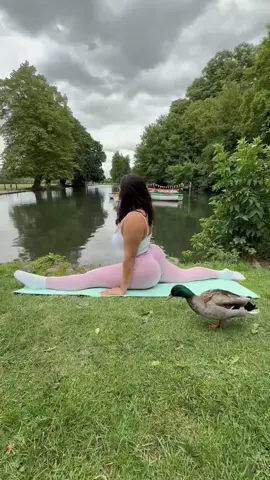 Have you met my new yoga partner? 🦆 🥹 #yoga #yogi #stretching #stretch #yogagirl 