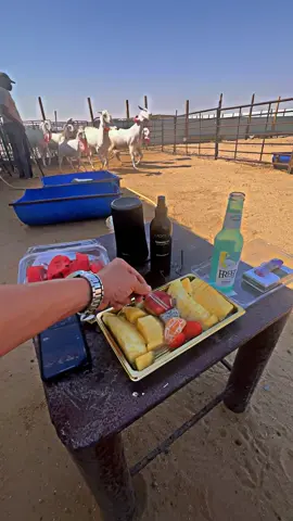 #الشعب_الصيني_ماله_حل😂😂 #مالي_خلق_احط_هاشتاقات #tanding #beach #sun #explore #kuwait 