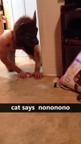 The mask was cute... until the cat saw it #catsoftiktok  #fyp  #foryoupage  #funnycats  #cutecat  #catlover  #meow  #catlife  #catmom  #catdad