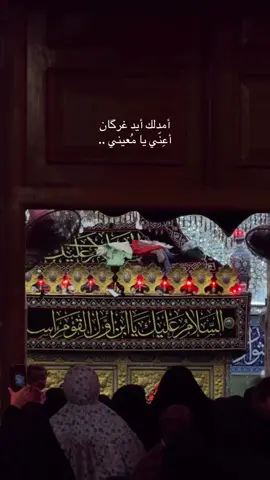 يا أبا الفضل 😔 ‎ ‎ ‎#الامام_العباس #كربلاء #باسم_الكربلائي #محرم #اكسبلور 