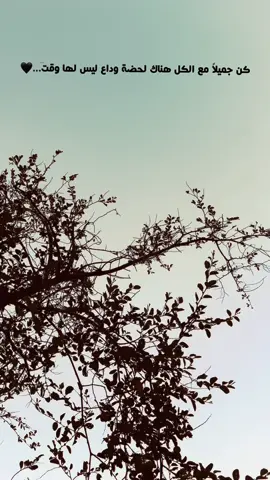 كـن جميلاً 🖤 #عباراتكم_الفخمه📿📌 #متابعه_ولايك #عباراتكم_اصمم_عليهآ #تصويري_احترافي_الاجواء👌🏻🕊😴 #عباراتكم_الفخمه📿📌تصميم_فيديوهات🎶🎤🎬 #شعراء_وذواقين_الشعر_الشعبي_العراقي #الحله_بابل_العراق #عبارات_جميلة_وقويه_اقتباسات_هلوسات #شعراء_وذواقين_الشعر_الشعبي_العراقي #لايك_متابعه_حركة_الاكسبلور❤🦋explorer #شعرر🖤🚶🏻 #explore #fypシ #سين 