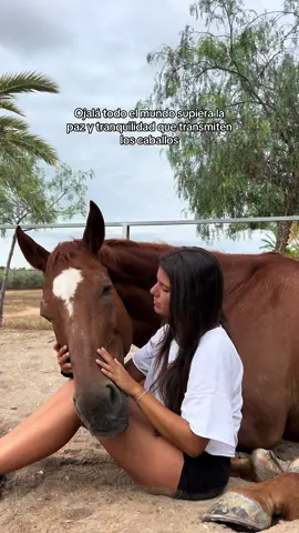 Y ojalá tuvieran la oportunidad de sentirlo alguna vez ❤️‍🩹 #fyp #paratii #horsesoftiktok #horselove 