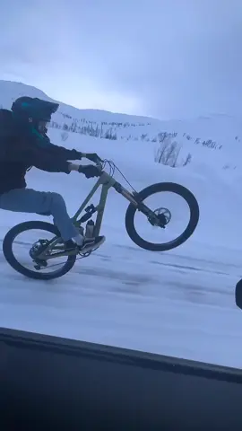 #MountainBikeFun #ExtremeMTB #MtbTechnik #TrailRider #wheelie 