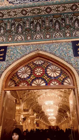 #دوه_زيارة_علي❤🌿 #النجف_الأشرف #مرقد_الامام_علي_عليه_السلام 