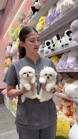 Totoong manika yung nakuha! 