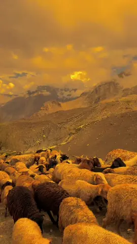 میں اور کتنا بڑھوں تیری جانب تو ہے کہ آسمان ہوا جاتا ہے
