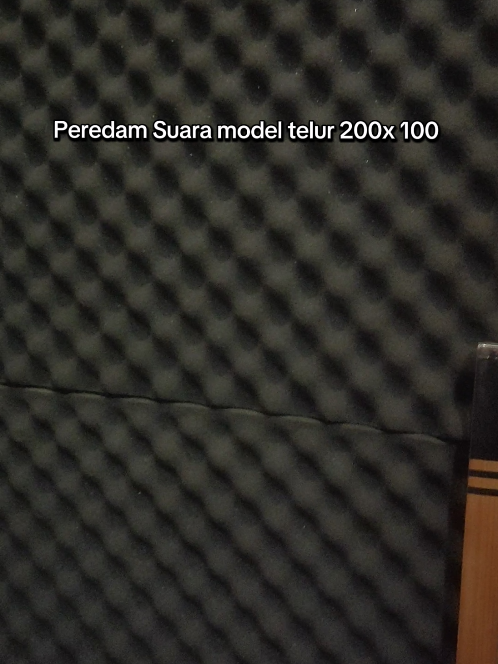 Promo Busa peredam telur 200x 100 #streamer  #busaperedam #peredamsuara #ruanganstreaming #studiopodcast #studio #busatelur #fyp #EnergiKuatTiapLangkah 