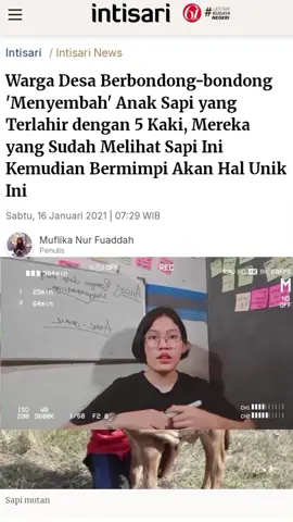 pembodohan harus di hilangkan