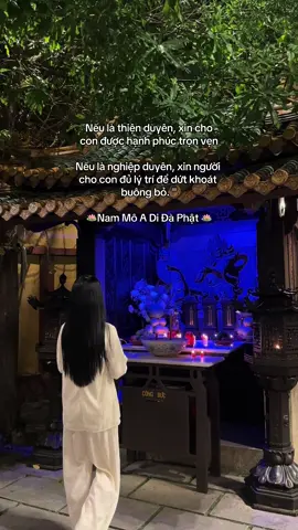 Nam Mô A Di Đà Phật🙏#reviewdodichua #dichuamacgi #phật #nammoadidaphat #loiphatday #viral #xuhuớng #phapphucdichua 