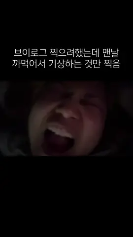 브이로그