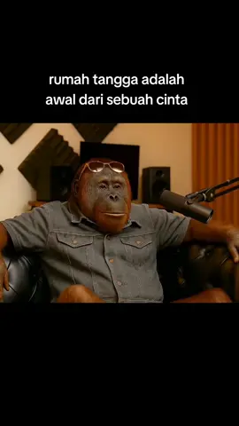awal dari sebuah cinta #promomakangajian #orangutan #fyp #Vlog 