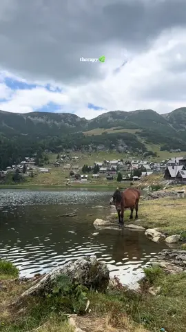 #explore #fyp #tiktokviral #Bosnia🇧🇦 #nature #البوسنة #بحيرة_بروكشكو #🌿💚 #foryou #viral 