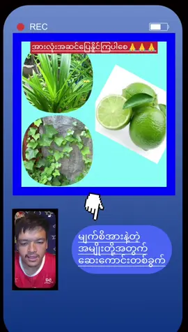 အားလုံးအဆင်ပြေနိူင်ကြပါစေ #ဆေးကောင်းတလတ်  #မျက်စိအားနဲ့သူများတွက်ပါ  #ဆေးကောင်းတစ်ခွက် 