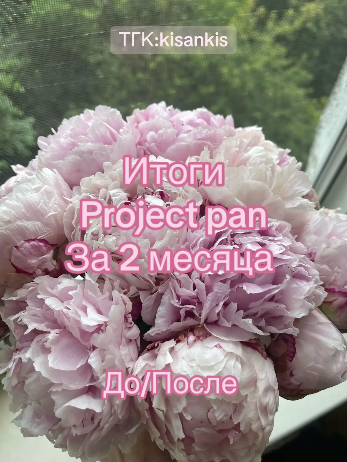 #косметика #макияж #projectpan #проджектпен 
