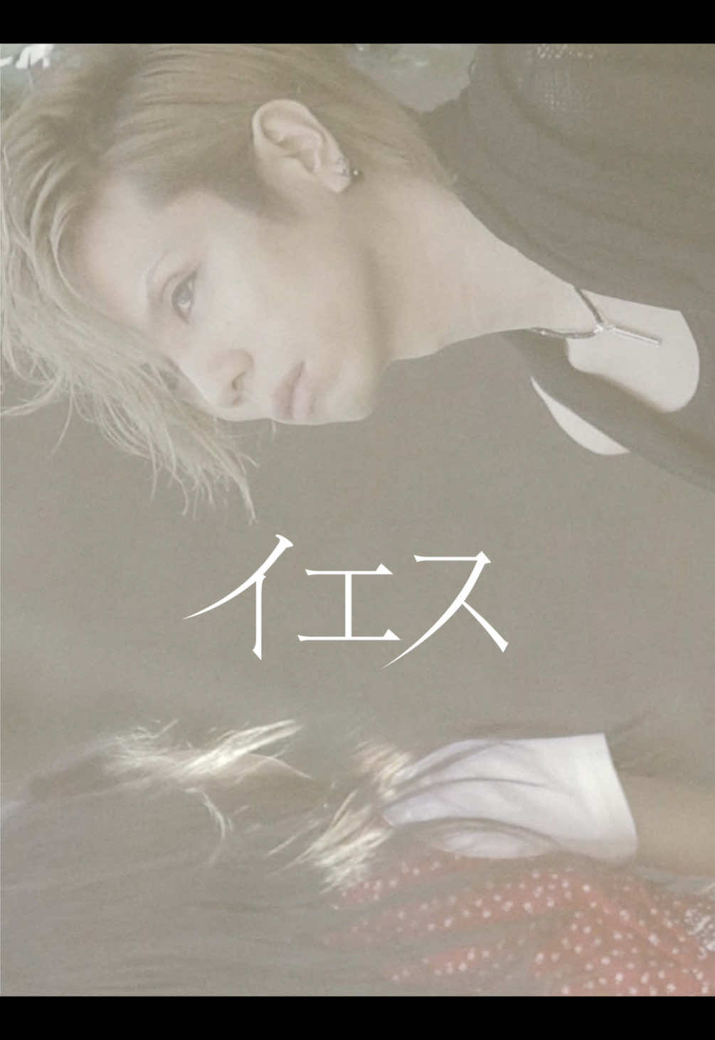 Acid Black Cherry / イエス #AcidBlackCherry  #AMPM  #ABC 