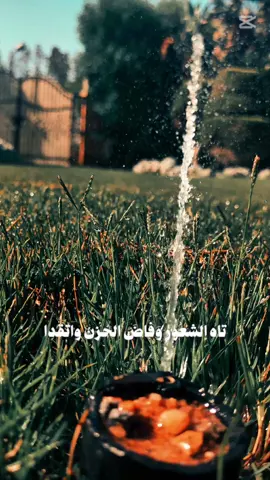 🖤 الحمدلله 🖤#CapCut #اذكار #خواطر #اسلام  #ادعية_اسلامية_تريح_القلب #هدوء_النفس_وطمأنينة_القلب #ارح_قلبك_المتعب_قليلاً🤍💫 #خواطر_أسامة #tiktok #black_and_white #ابيض_واسود #دروس_دينية#عبرة#كلام_لطيف#whattowatch #خواطر_Os 