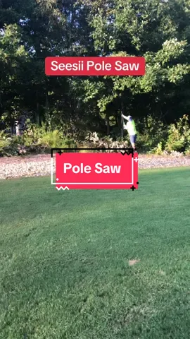 A must have #seesii #polesaw #chainsaw #minichainsaw #seesiitools 