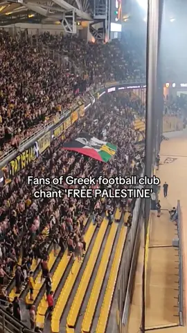Fans of Greek football team AEK Athens F.C raised the Palestinian flag during their European Conferend league qualifying game against Israeli club Hapoel Be'er Sheva. AEK Athens won the game 1-0.