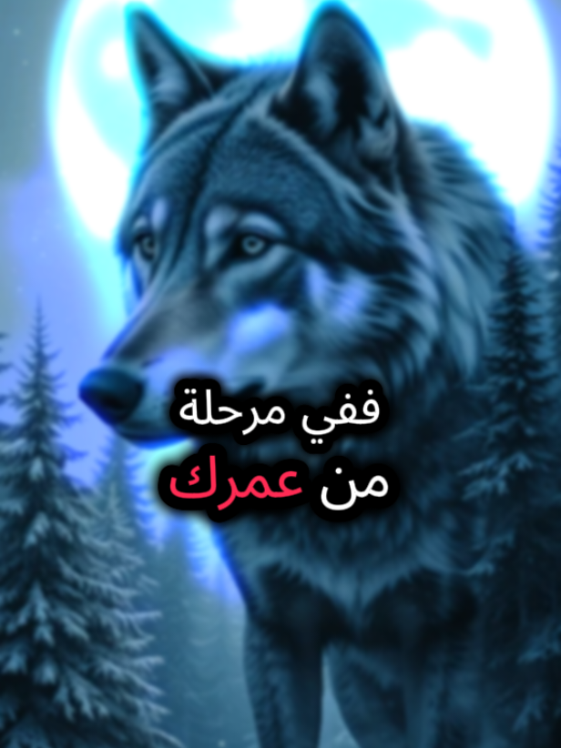 #creatorsearchinsights #مشاهير_تيك_توك_مشاهير_العرب #اكسبلور #مشاهير_العالم #مشاهدات_تيك_توك 