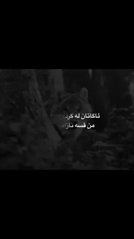 ڤیدیویەکە هی ئەم برایەیە@Wingdings: تایبەت❞︎مەحو #foryou #foryoupage #تایبەت_مەحو 