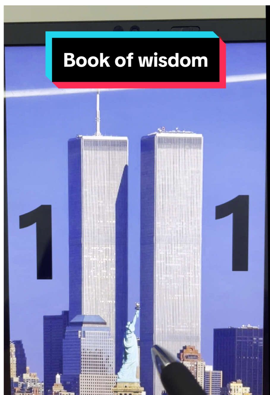Why is it all about 11?#fyp #tiktokshop #bookofwisdom #BookTok #book #books #bookrecommendations #booktokfyp 