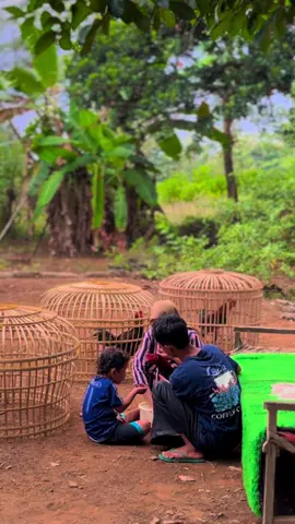Ora muluk”wo penting urip ayam wes alhamdulillah 🥰#peternakmuda #ayambangkok #bangkokklasik #fyppppppppppppppppppppppp 