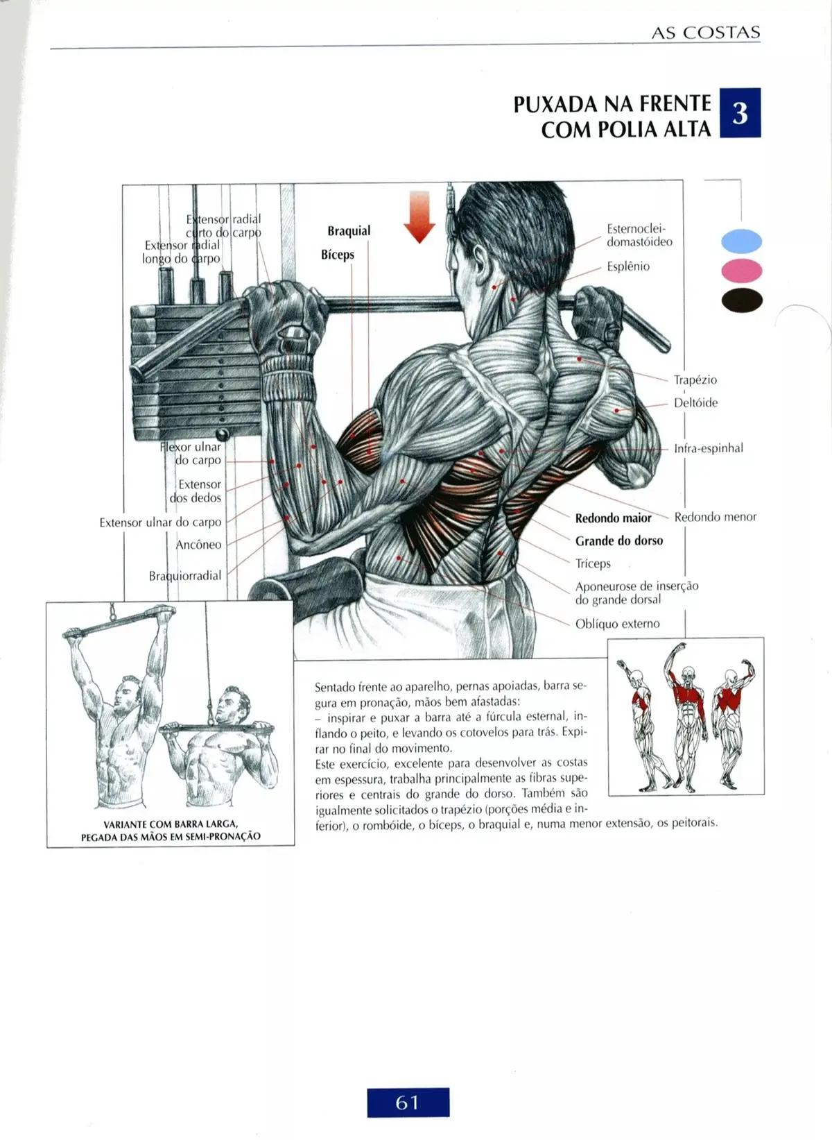 Treino de costas com Trapézio e bíceps Treino de costas Treino de trapézio treino de bíceps  #academia #gym #GymTok #vaiprofy #vaiprafy #fyppp #fyppage 