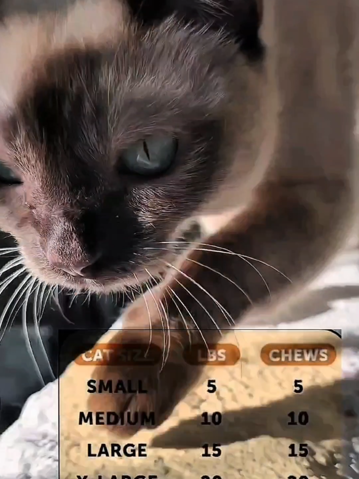 I hope you're treating your fur friend with the gift of health this year! Pes Honesty!That is, with a taste they Can't resist, even the pickiest of cats agreel! #pethonesty #cat #cathealth #catsupplements #catsoftiktok #catlover #catmom #cats #cattreats #carslife 