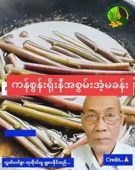 #ကန်စွန်းရိုးနီအစွမ်း #ပြန်လည်ကူးယူမျှဝေပါသည် #ကျန်းမာဘေးကင်းကြပါစေ #tiktokviral  #fyppppppppppppppppppppppp 