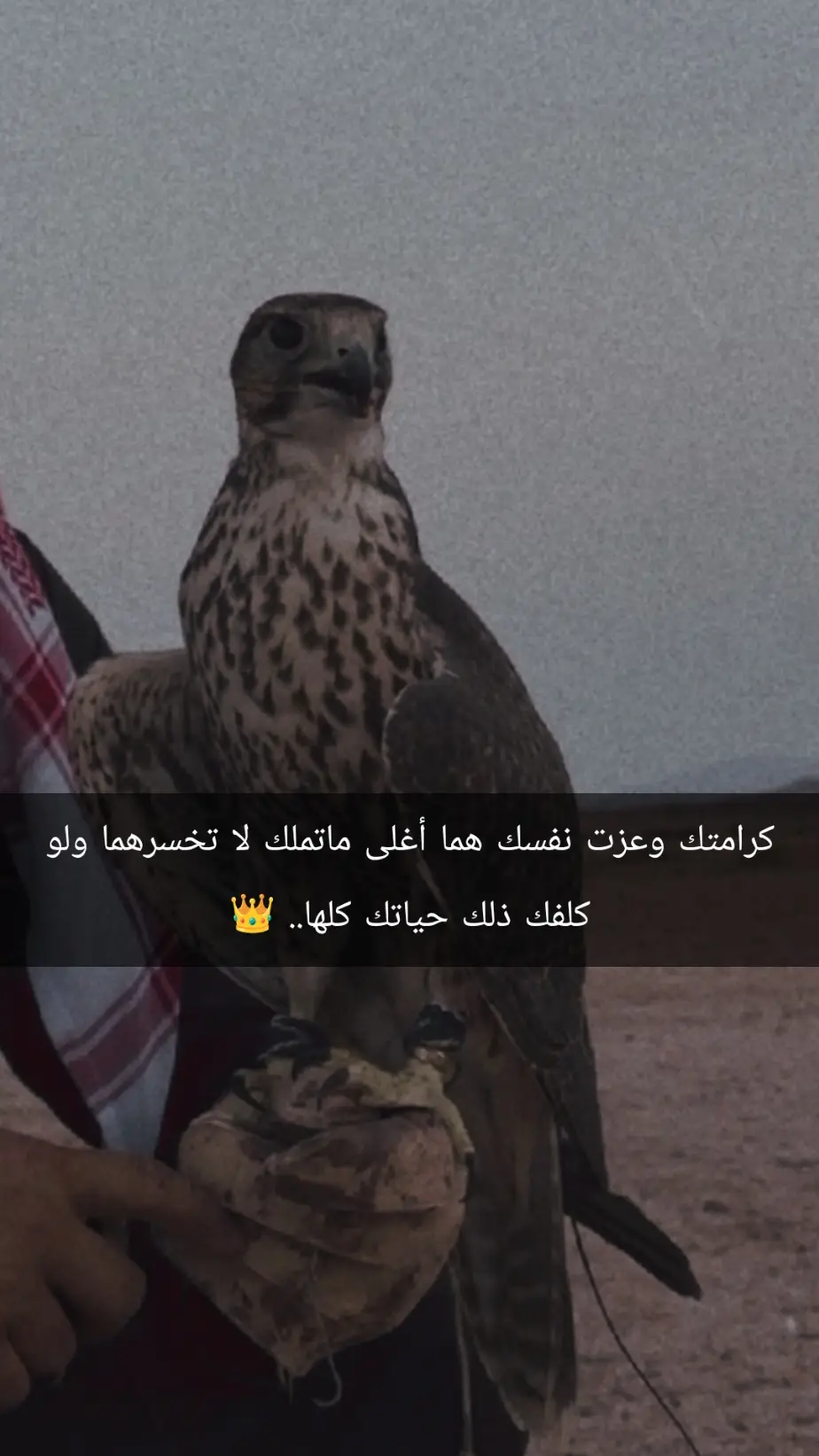 #كرامتك وعزت نفسك هما أغلى ماتملك لا تخسرهما ولو كلفك ذلك حياتك #كلها...