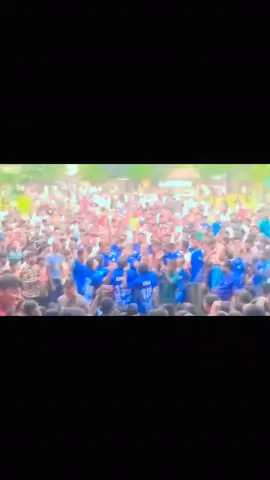 খেলার পড়ে নাছ, 