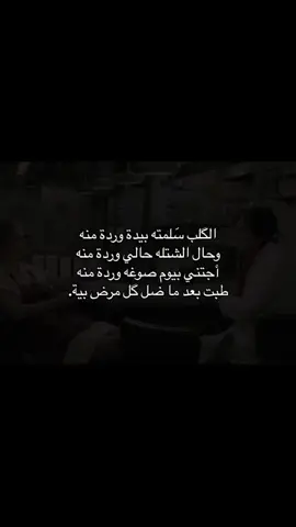 الگلب سلمته بيده ورده منه وحال الشتله حالي ورده منه اجتني بيوم صوغه ورده منه طبت بعد ما ضل كل مرض بيه ❤️‍🩹