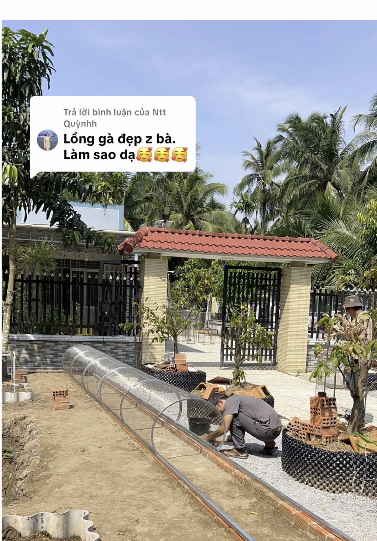 Trả lời @Ntt Quỳnhh đây ạ. Cả quá trình làm ống thả gà chạy vườn của nhà emm🤭🤭🤭 #khuvuonnho #gocsanvuon #vuonrauxanh #xuhuongtiktok #xh #ilovetiktok #bentre71🌴🥥 