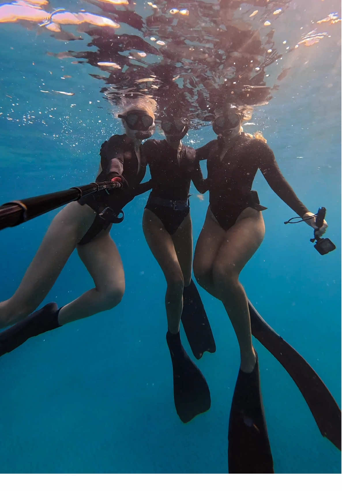 Friends who dive together stay together 💅 #fyp #oceanlover #viral #florida #diving #mermaid #underwater #dji #underwatertiktok #floridacheck #fypシ #mermaids #ocean 