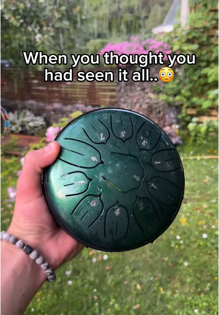 This is a miracle 😌🌧️✨ #garden #rain #instrument #melody 