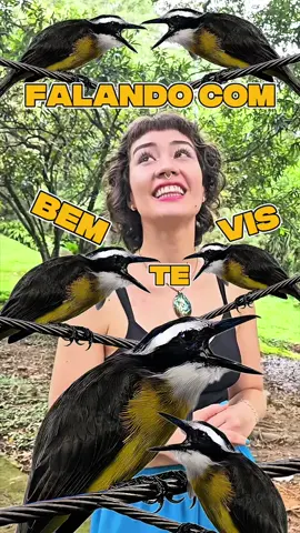 E eu que marquei uma reunião com os bem-te-vis sem querer???? O que vocês acham que eu disse pra eles? . . obrigada pelo registro @polerito_arts 💛 #fy#fyp#viral#birds#animals#impressions#nature  