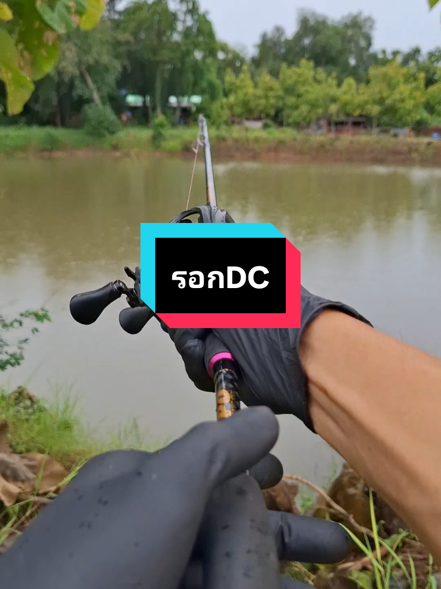 รอกDC dainamo เข้าสต๊อกไทยเพิ่มอีก200ตัวคืนพรุ่งนี้ตะกร้าจะขึ้นให้กดสั่ง #dc #dainamo #คุณชายตกปลา 