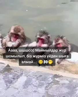 #реееек 