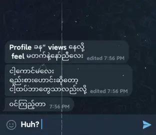 ဟုတ်တာပေါ့