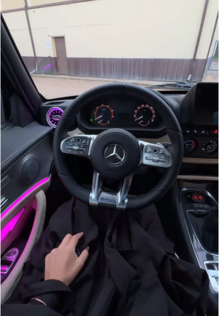 Вид имеет 